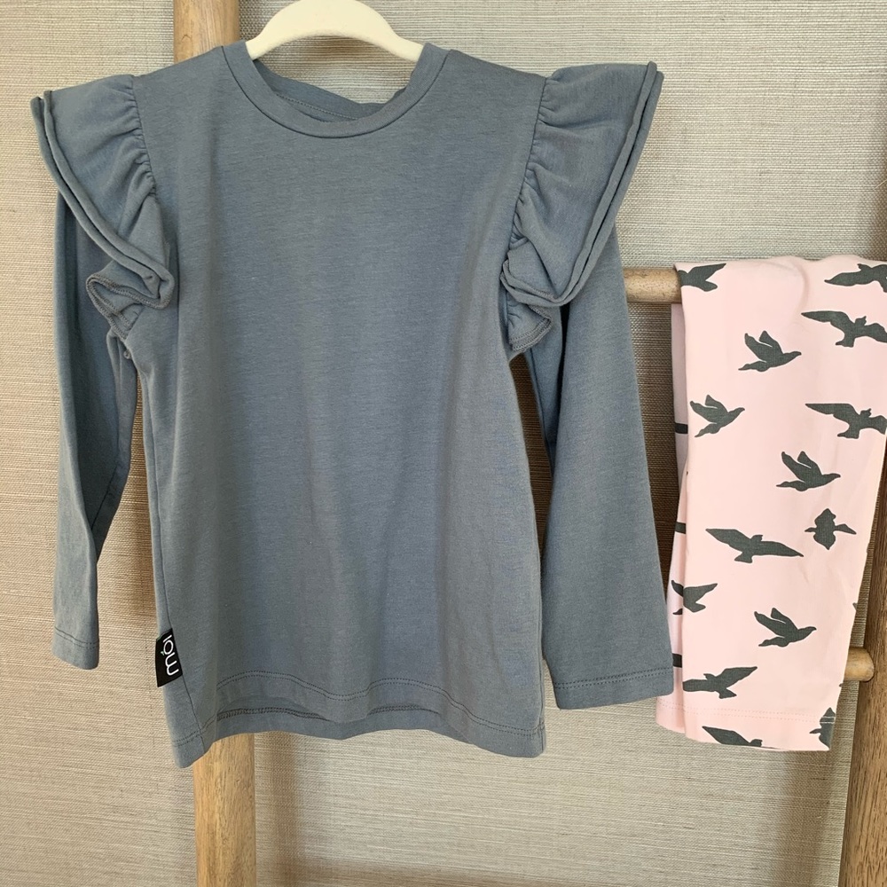 2T Girls Outfit